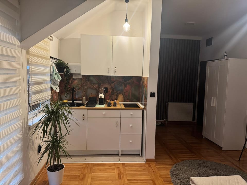 Gaga Gold Apartment in Belgrade