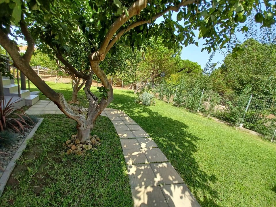 Seaside house for 8 close to Olympia & the beach Villa in Peloponnese, Western Greece and the Ionian