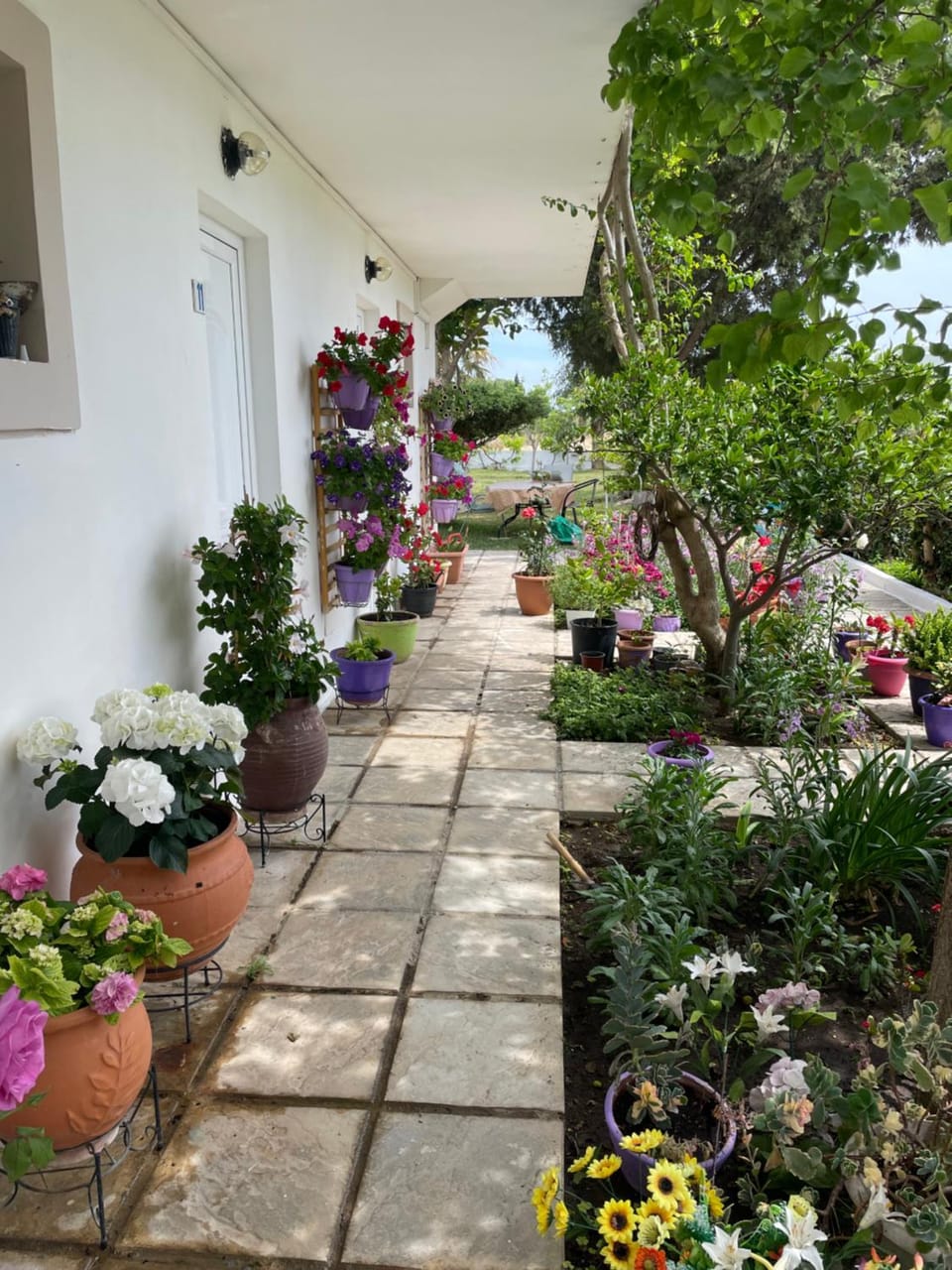 STUDIO ZOE Country House in Marmari