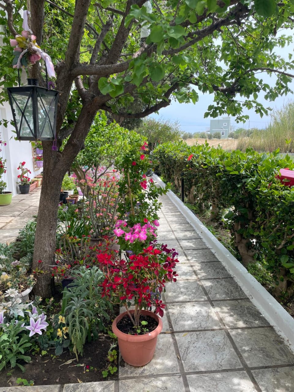 STUDIO ZOE Country House in Marmari