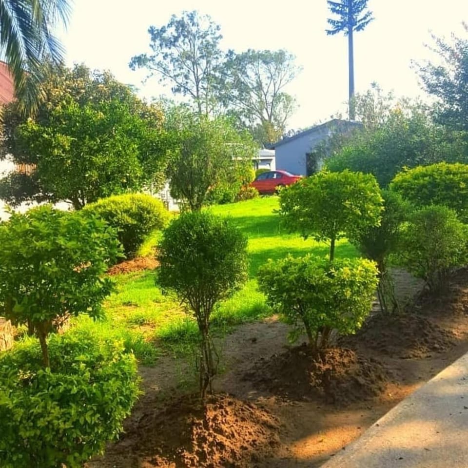 Natural landscape, Garden, Garden view