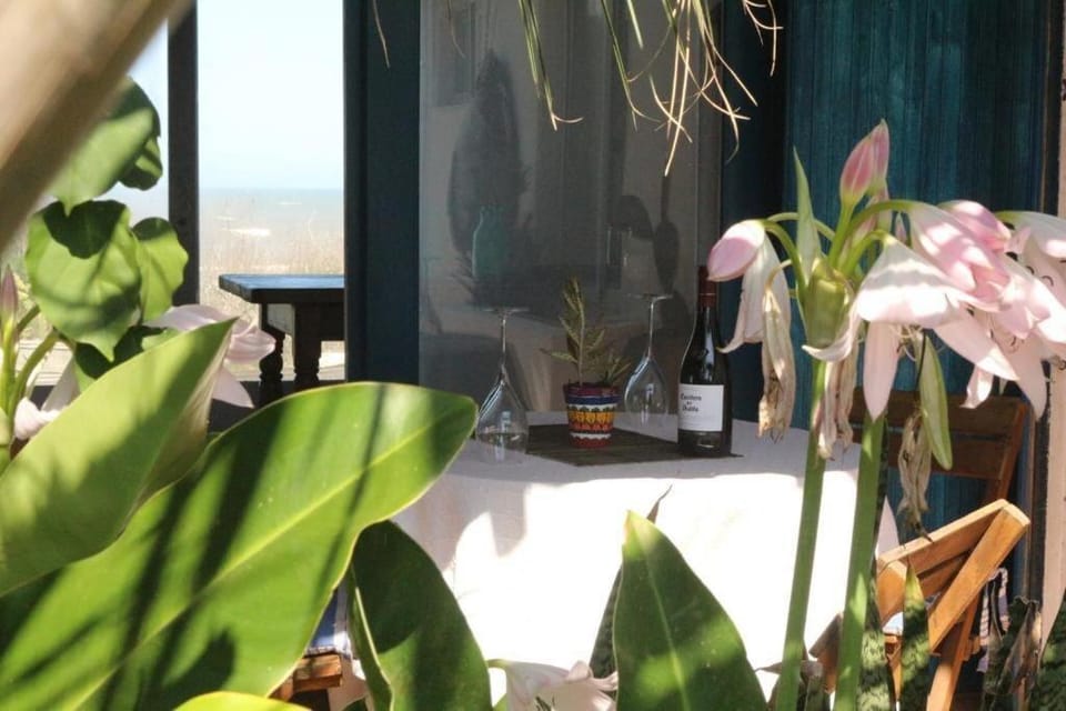 Guesthouse Entre Campo y Mar Bed and Breakfast in Rocha Department, Uruguay