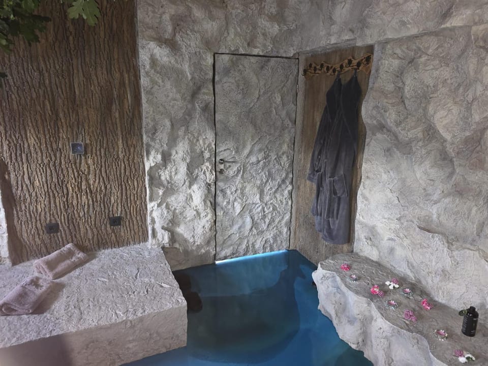 Spa Villa Ana Villa in Slovenia