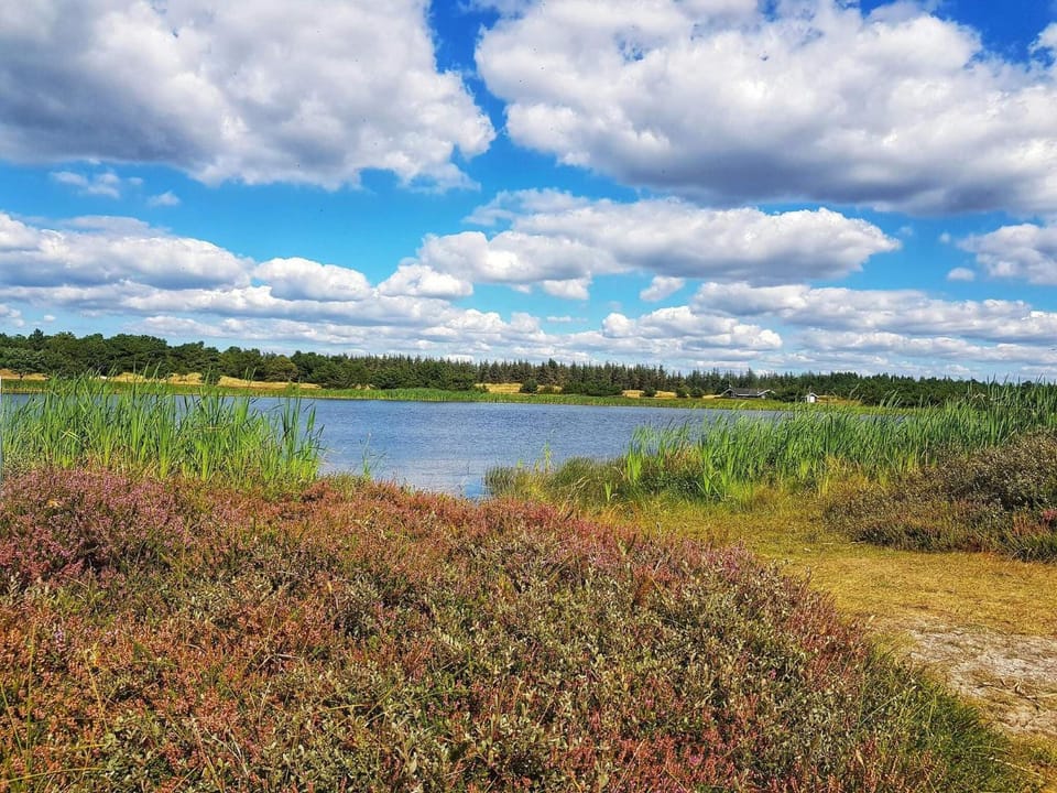 Lake view