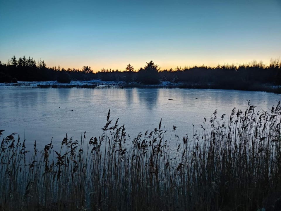 Lake view
