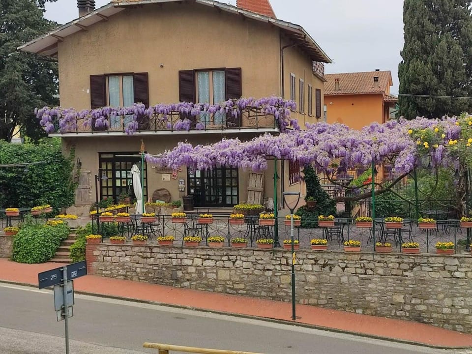 Il Glicine - anemone Apartment in Umbria
