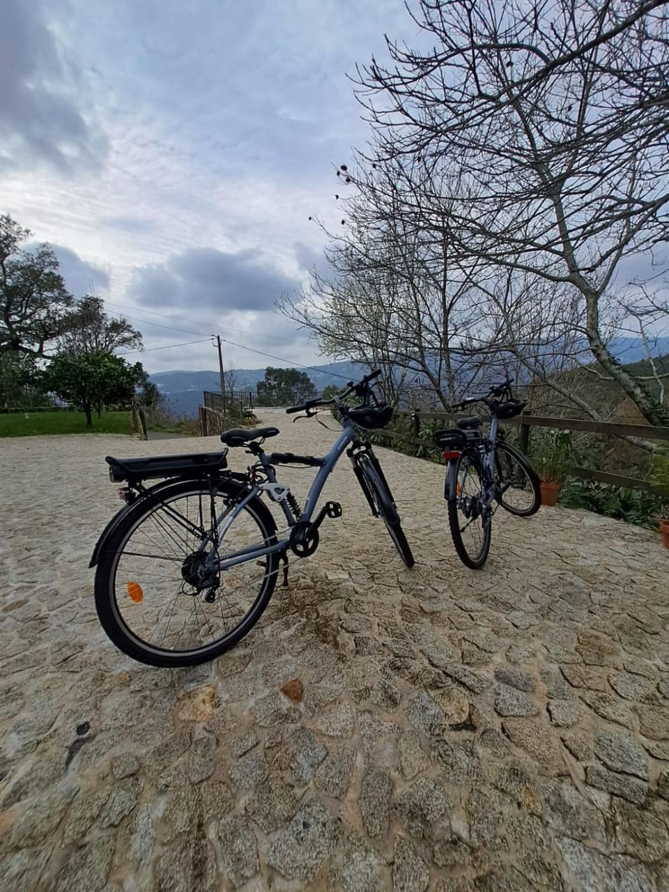 Cycling, Sports