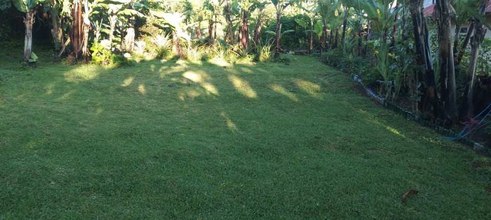 Garden, Garden view