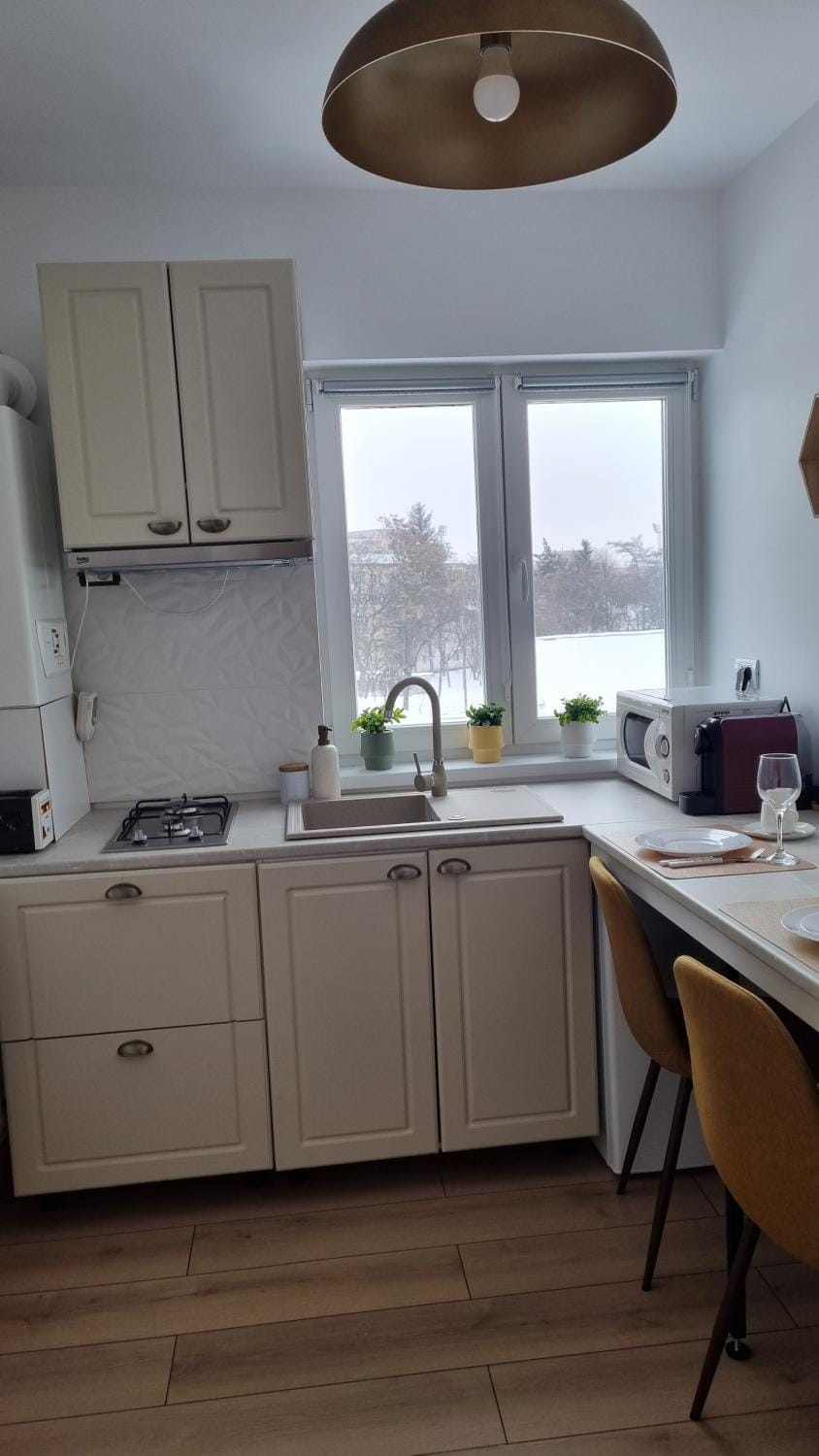 Central Residence Apartment in Moldova