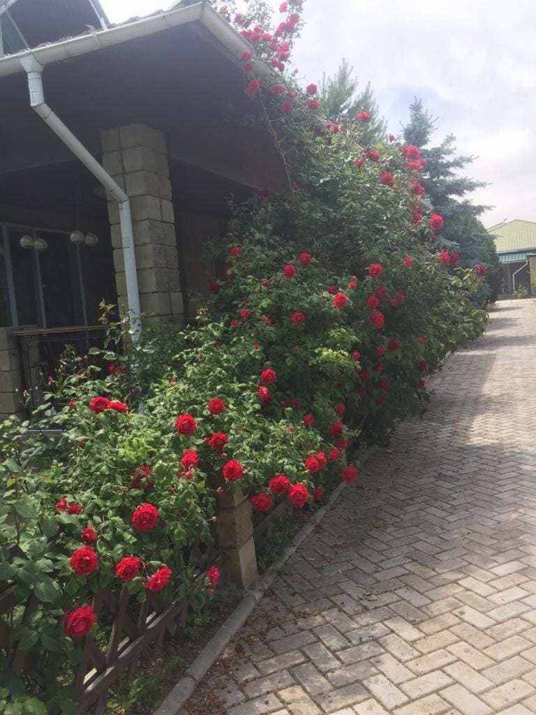 Property building, Garden