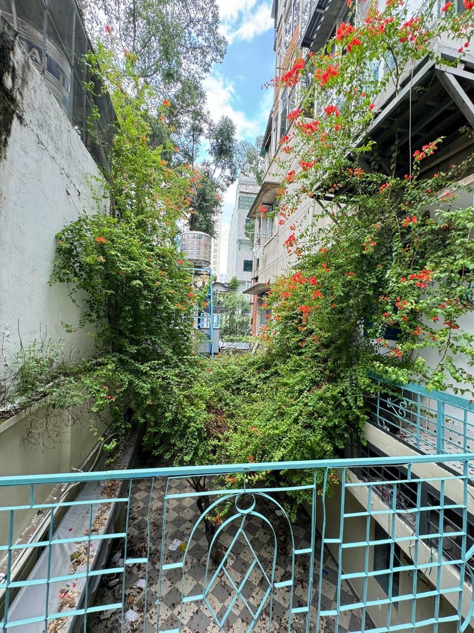 Garden view