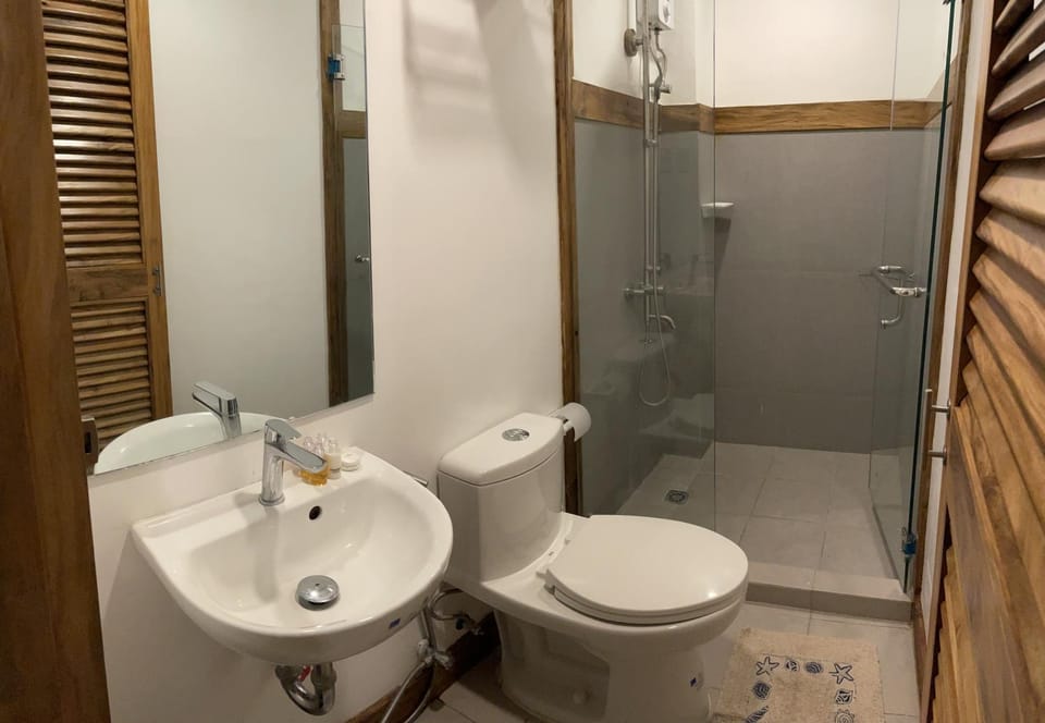 Shower, Toilet, Bathroom, bidet