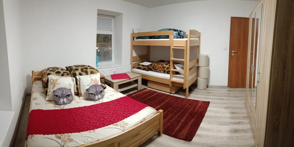 Bed, Photo of the whole room, Bedroom, bunk bed, wardrobe