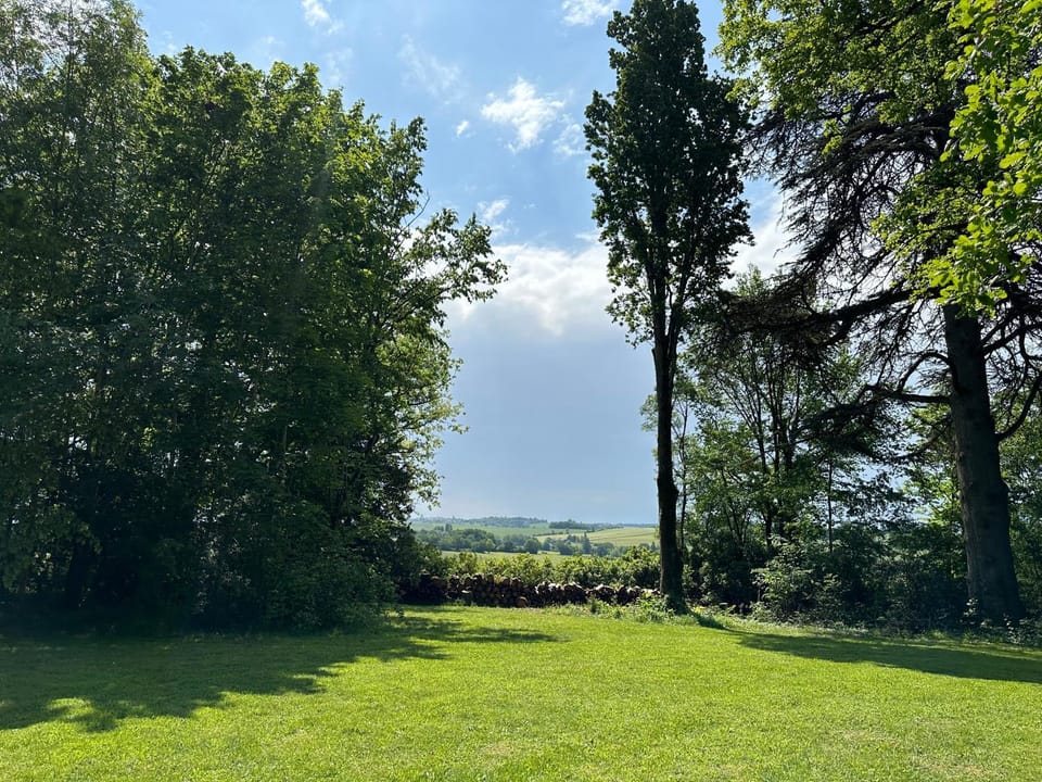 Natural landscape