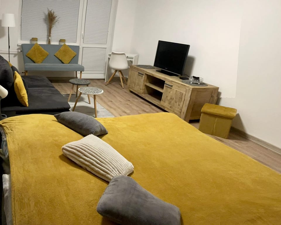 City Ela Center Apartment in Slovakia