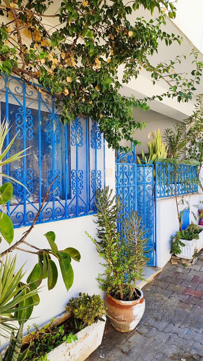 Cosy Appartement in "Sidi Bou Said" Apartment in Tunis Governorate, Tunisia