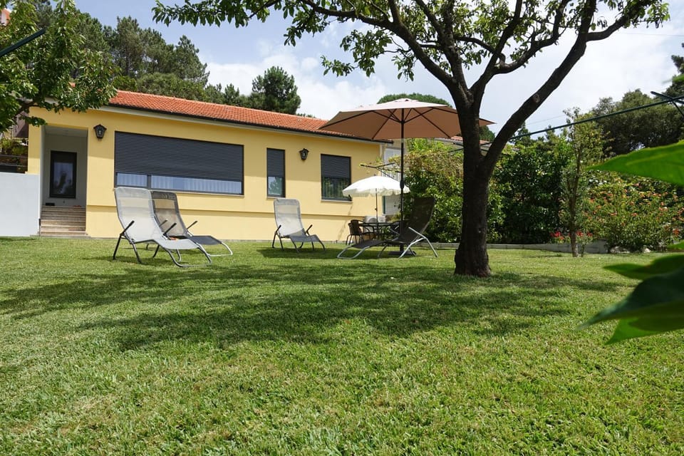 Montinho 313 House in Aveiro District, Portugal