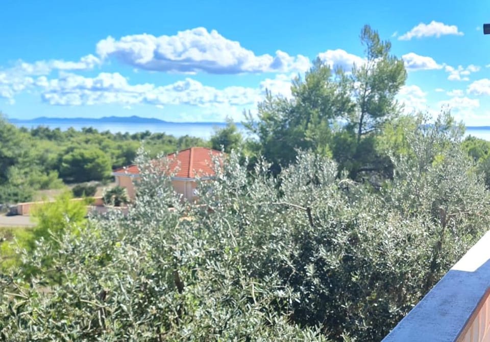Natural landscape, Sea view