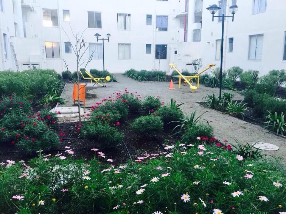 Children play ground, Garden