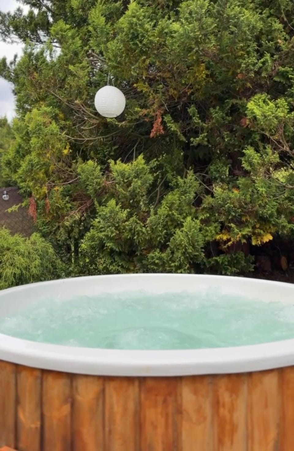 Day, Garden, Hot Tub, Garden view