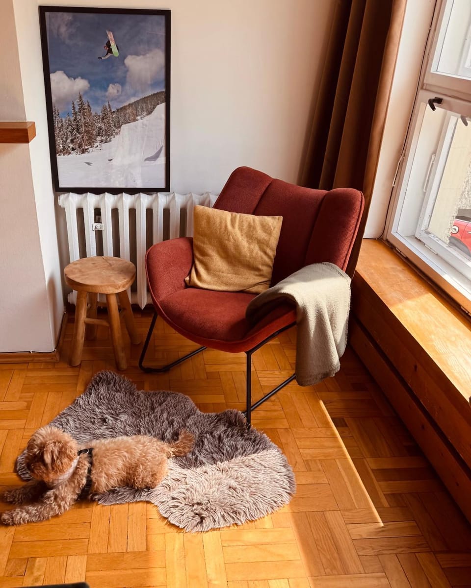 Living room, Seating area, Pets