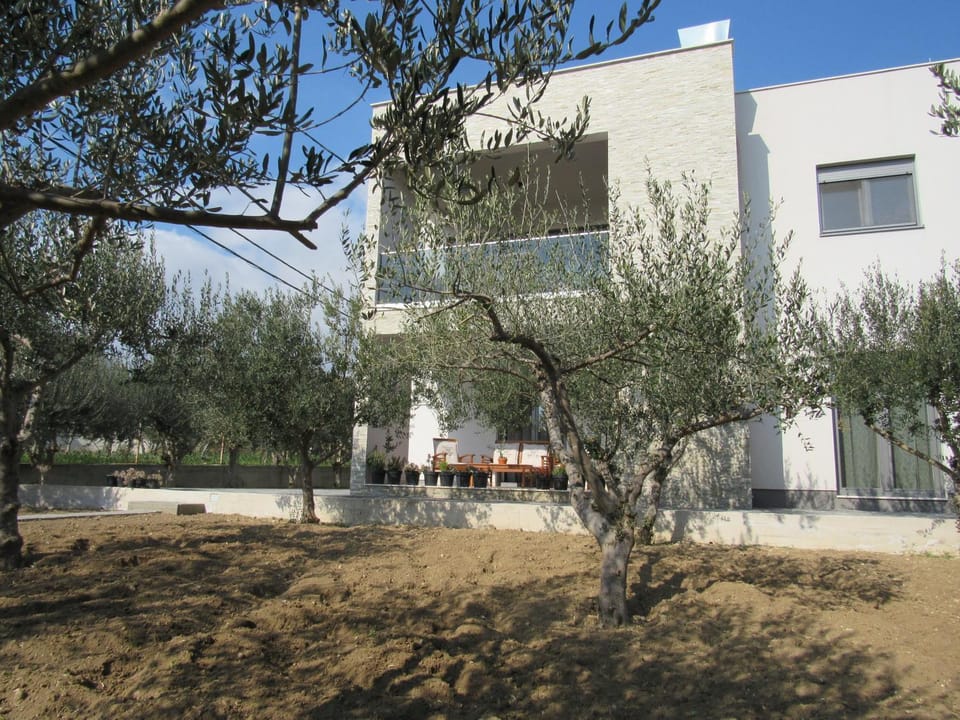 Property building, Garden view