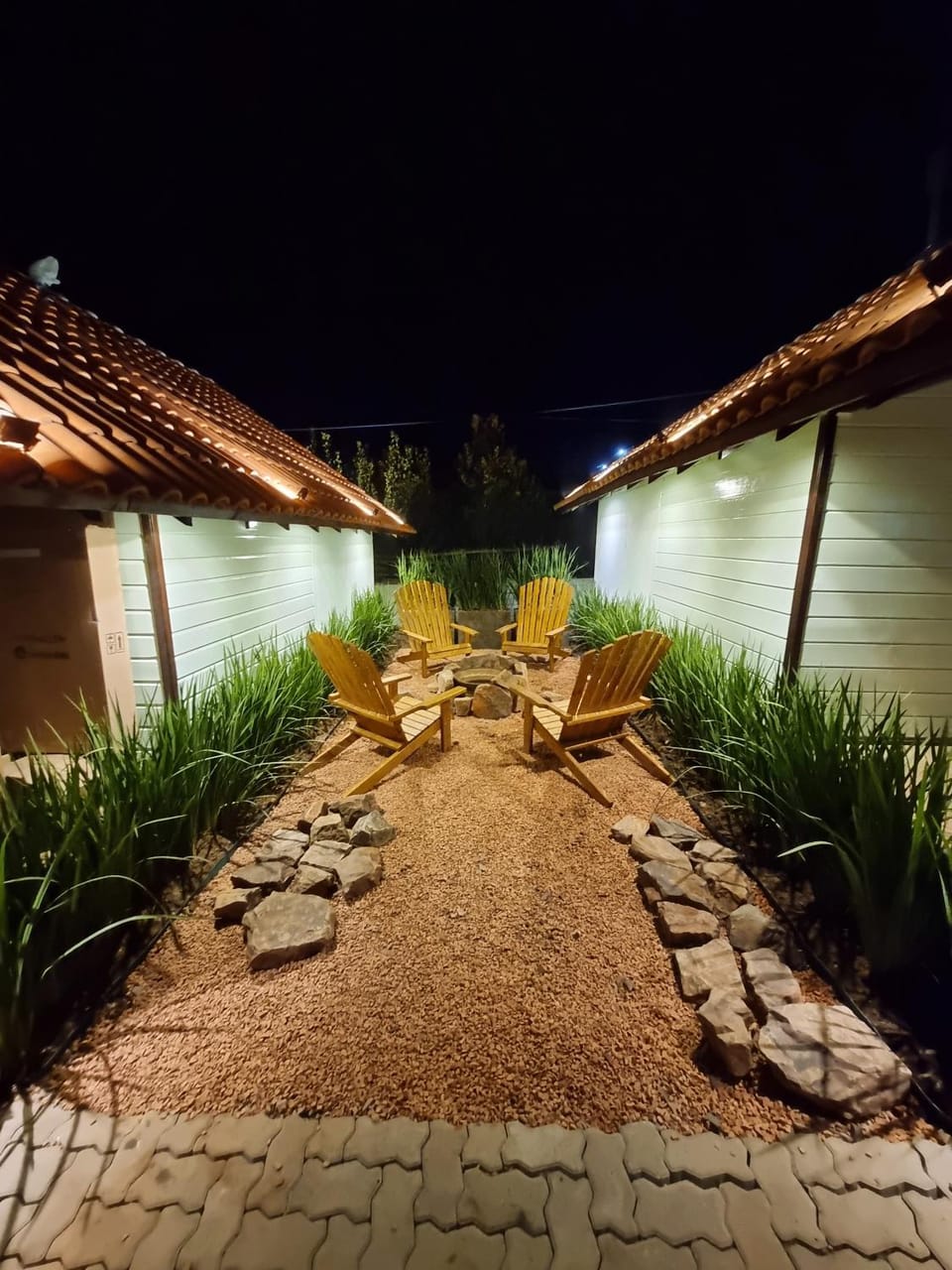 Night, Garden view