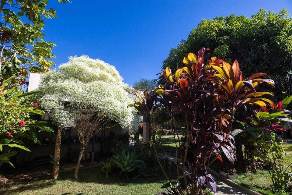 Hotel Pousada das Flores Hotel in State of Minas Gerais, Brazil