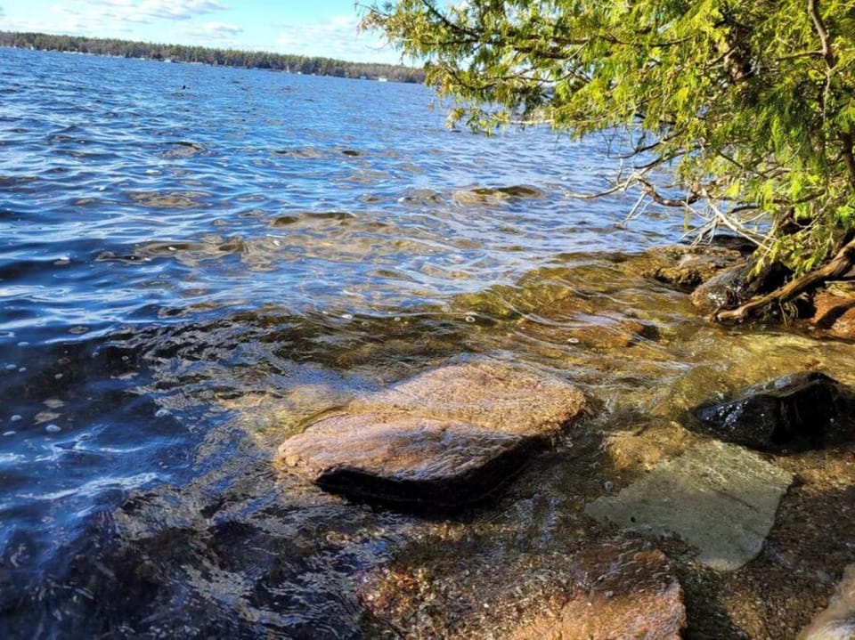 Rustic Pines Waterfront Cottage *CLEAR WATER* House in Kawartha Lakes