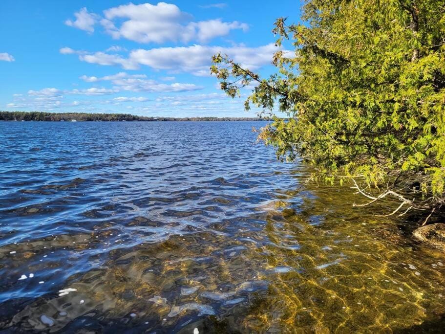 Rustic Pines Waterfront Cottage *CLEAR WATER* House in Kawartha Lakes