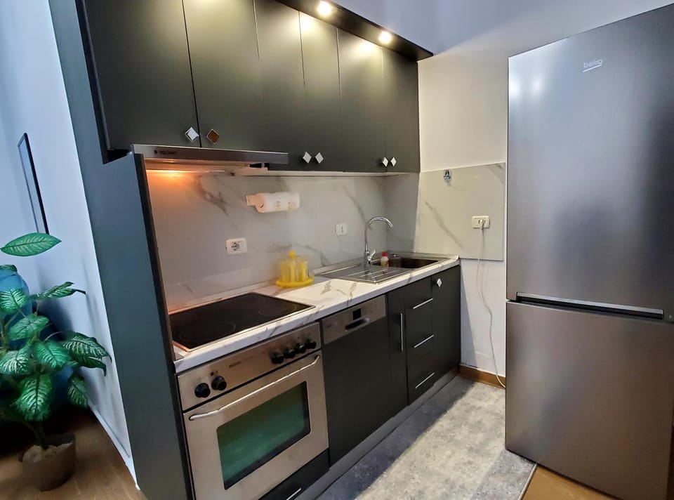 Kitchen or kitchenette, dishwasher