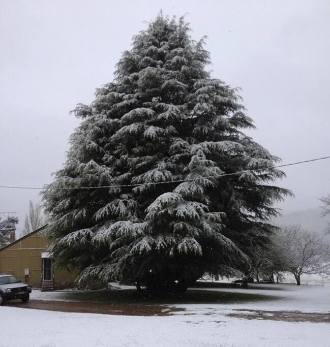 Winter