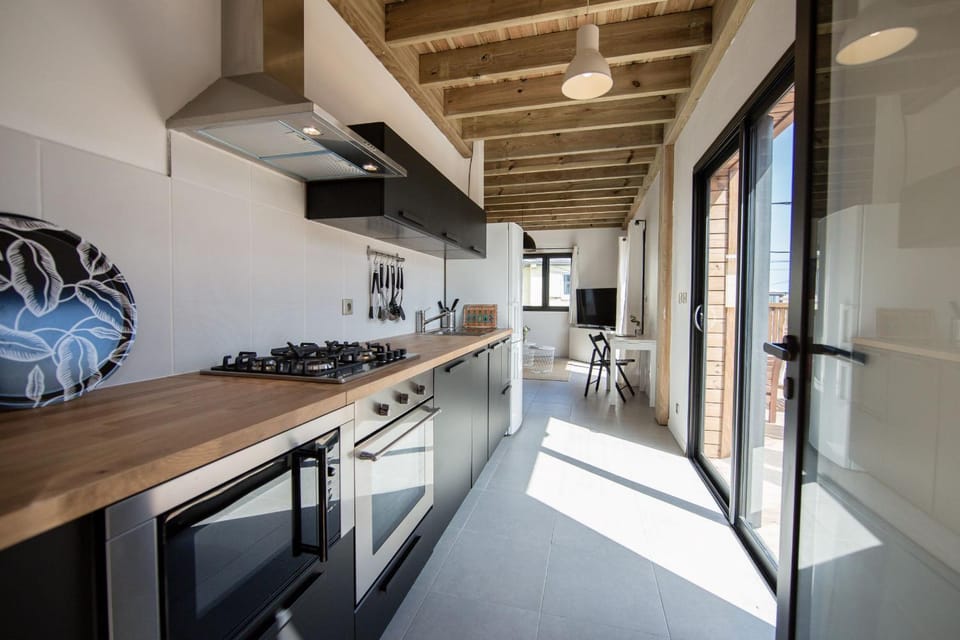 Kitchen or kitchenette, minibar, pet friendly, stove