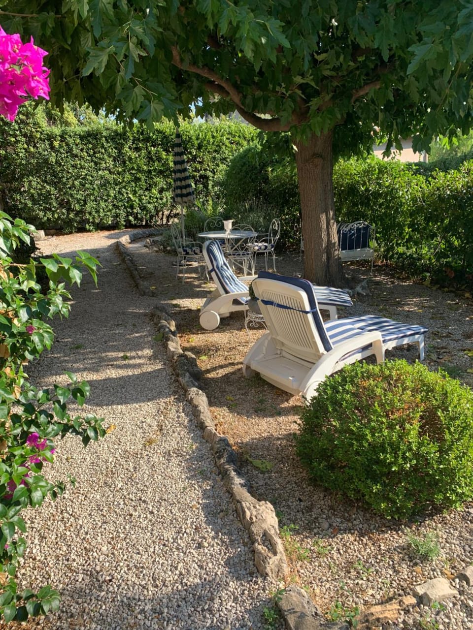 Garden, Garden view