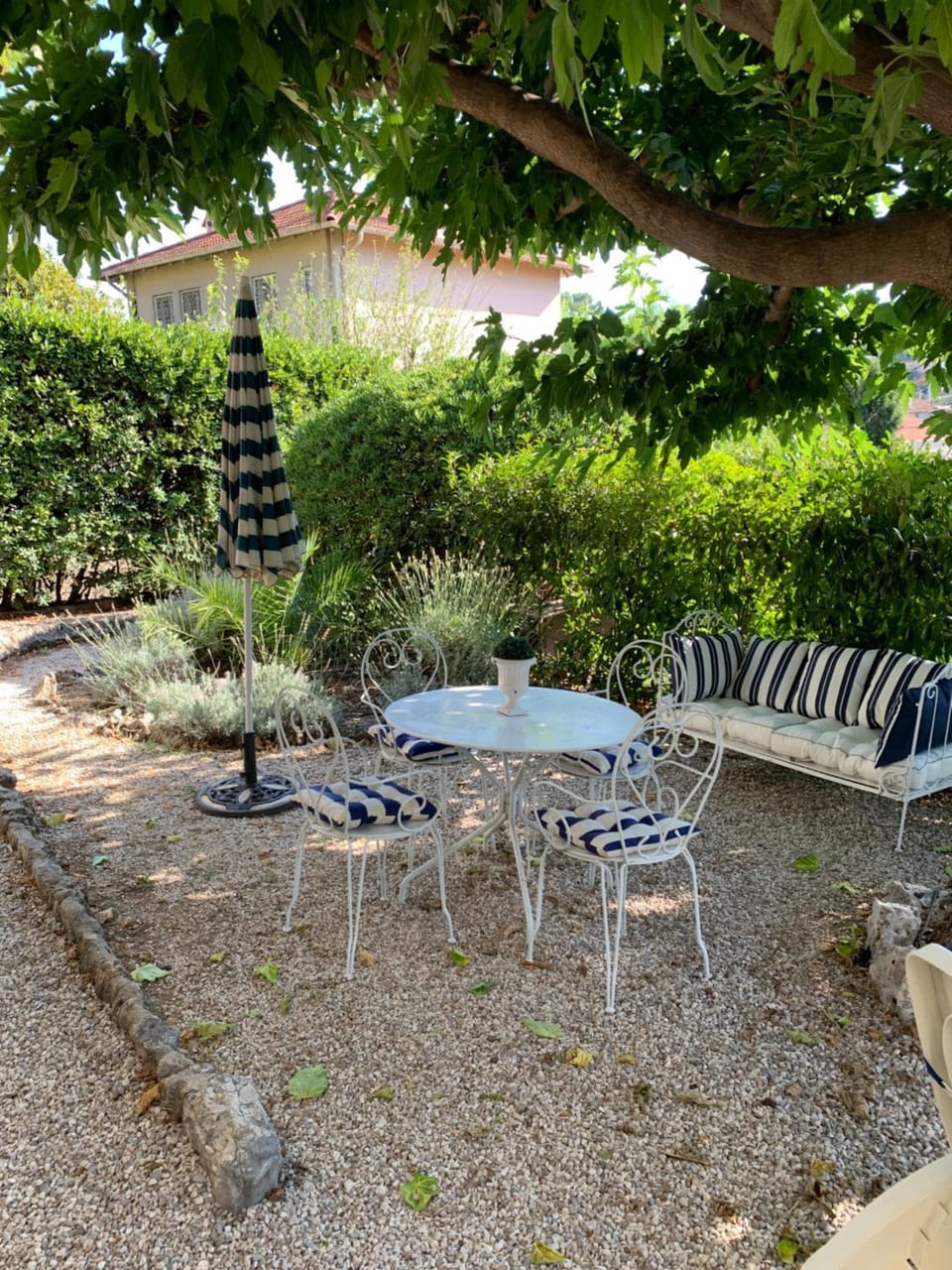 Garden view