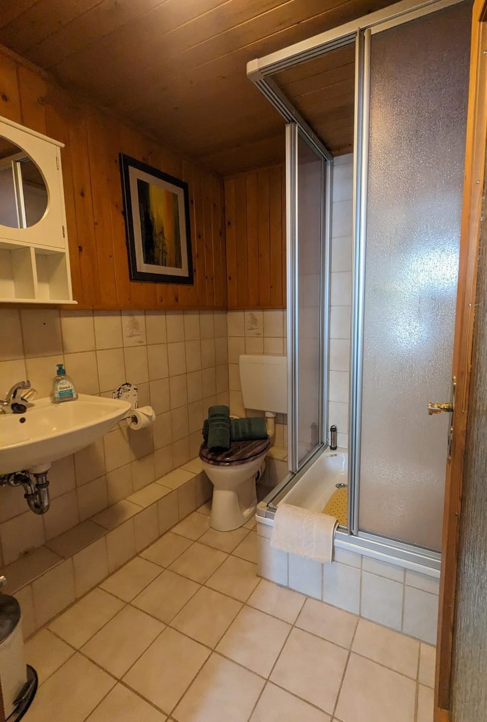 Shower, Toilet, Bathroom, towels