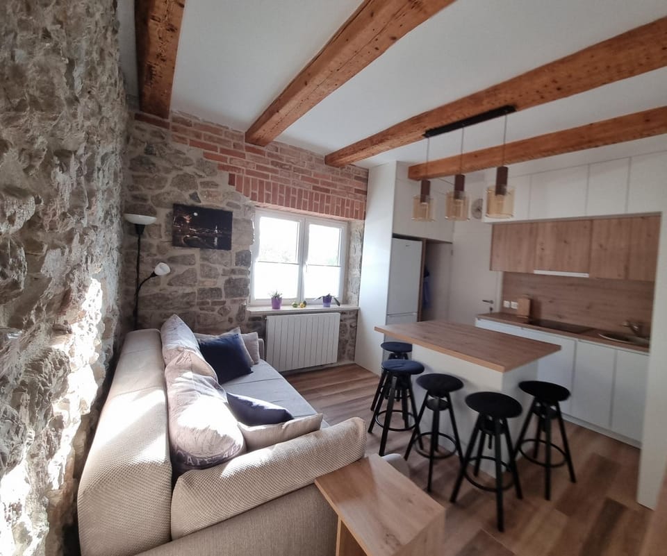 Kitchen or kitchenette, Living room, Seating area, Dining area, pet friendly