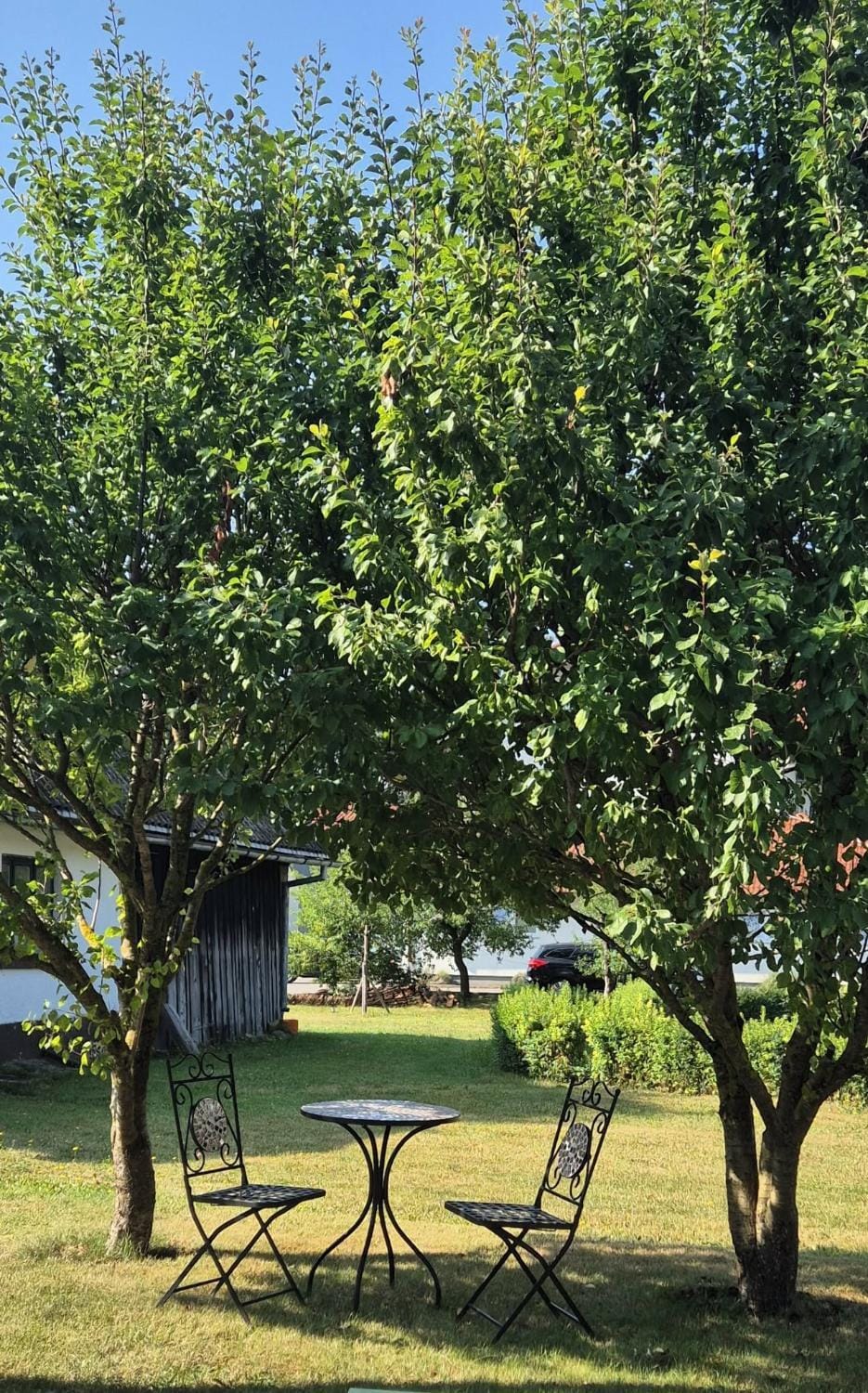 Garden view
