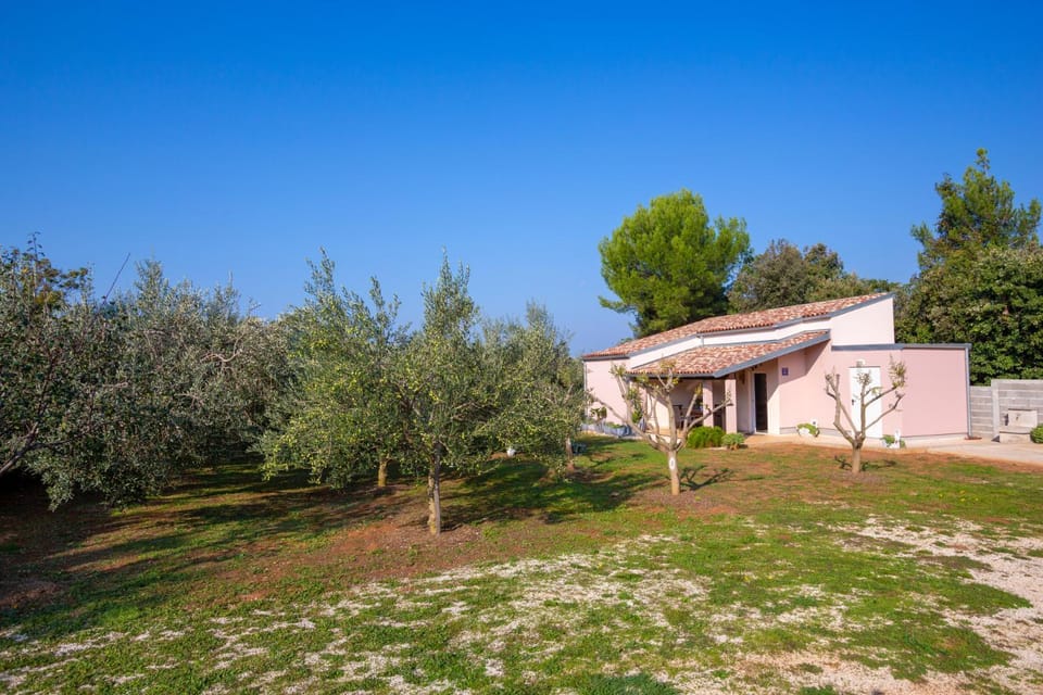 Property building, Garden view