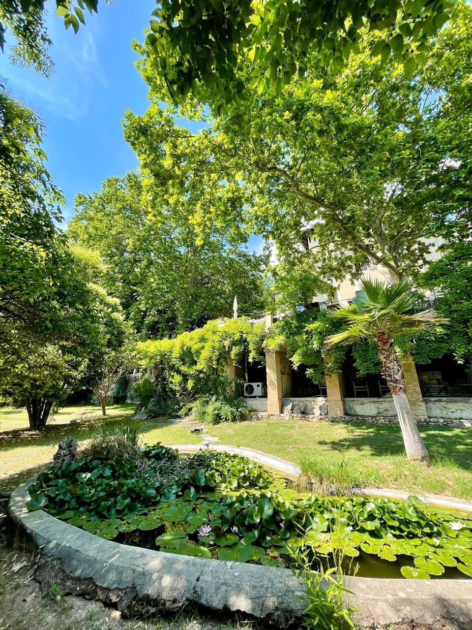 Natural landscape, Garden, Garden view