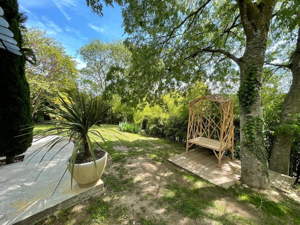 Natural landscape, Garden, Garden view