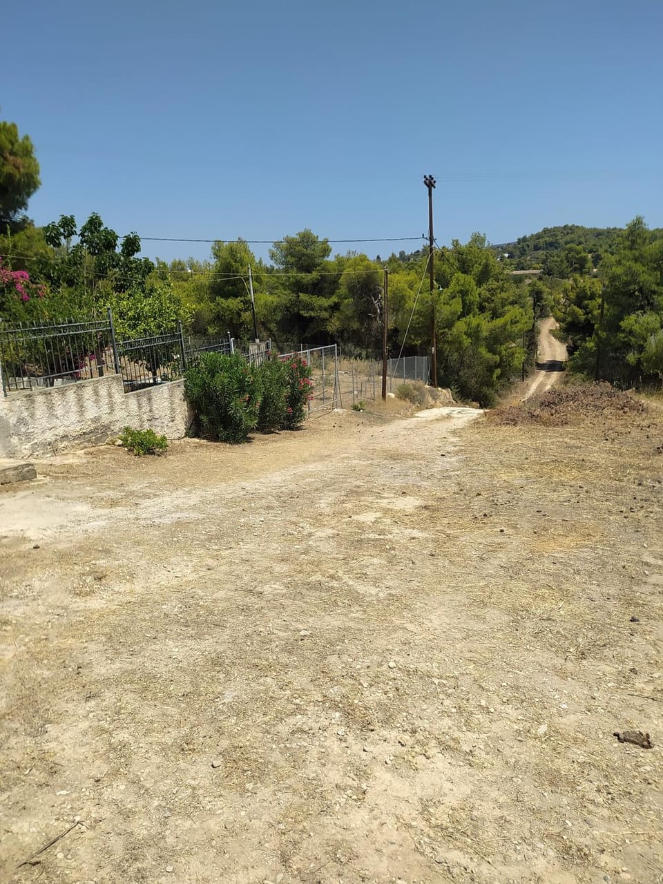 Spring, Day, Natural landscape, Garden view, Landmark view, Street view, Quiet street view, Parking