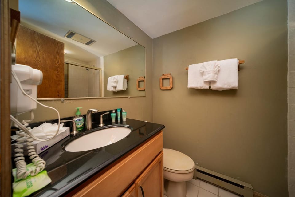 Toilet, Bathroom, hair dryier, towels
