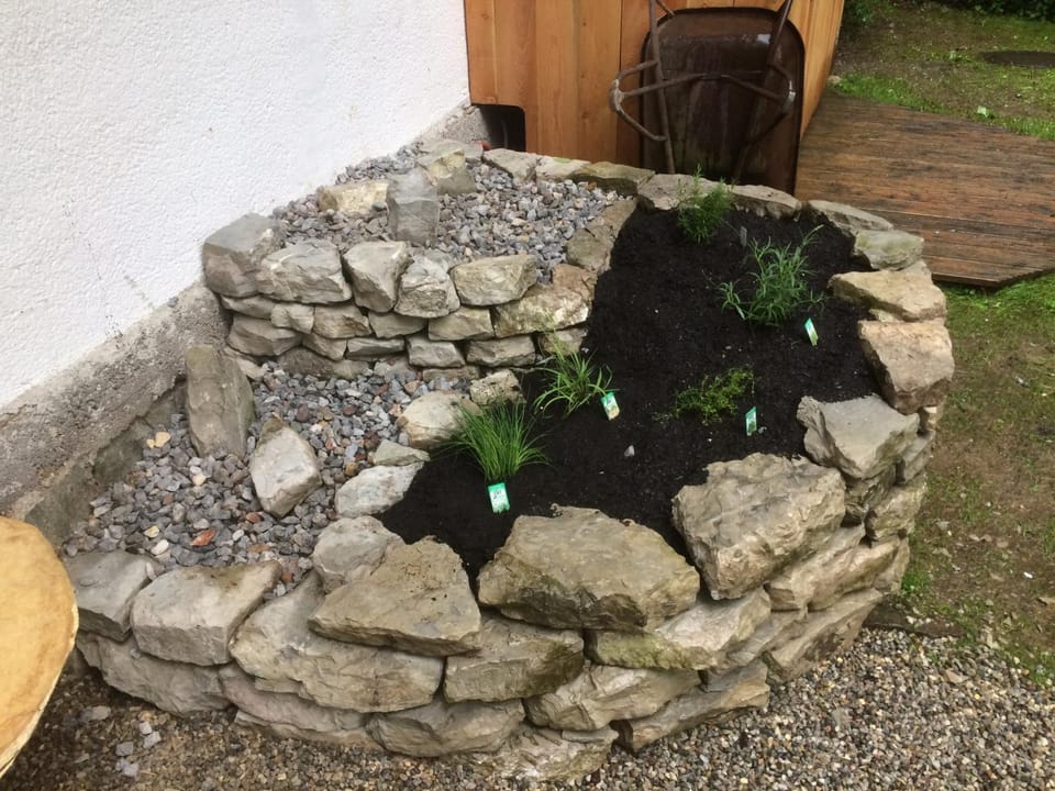 Day, Garden, Garden view