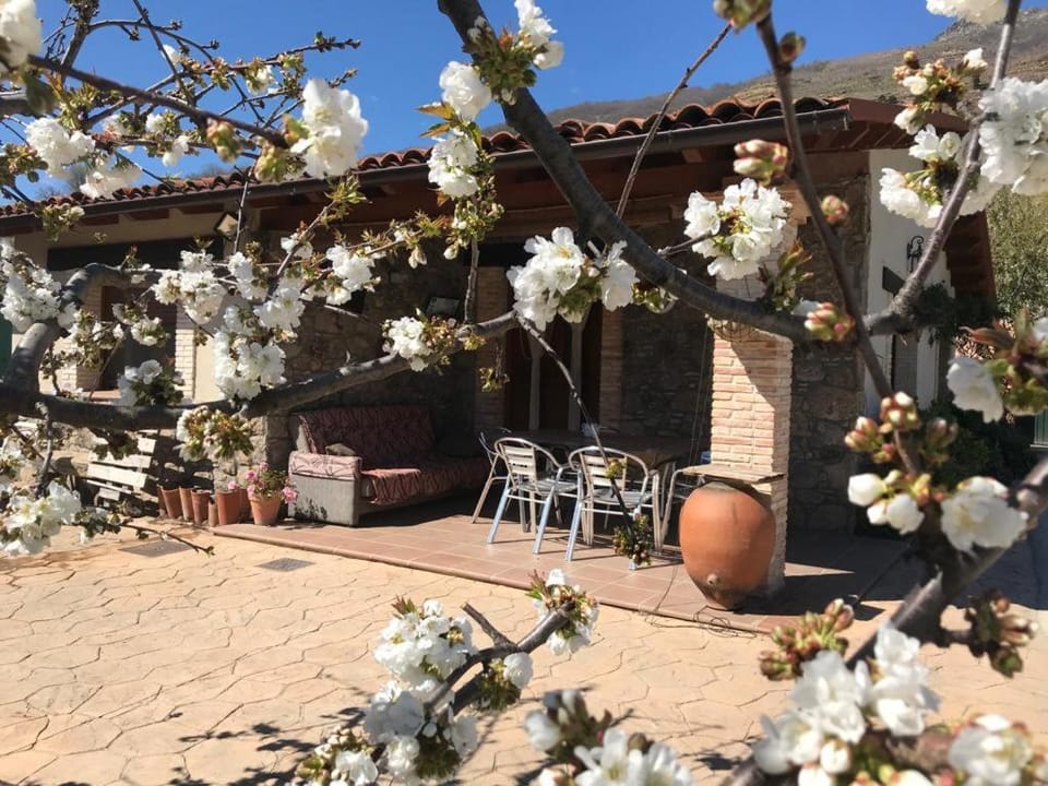 Spring, Garden, Balcony/Terrace, Garden view