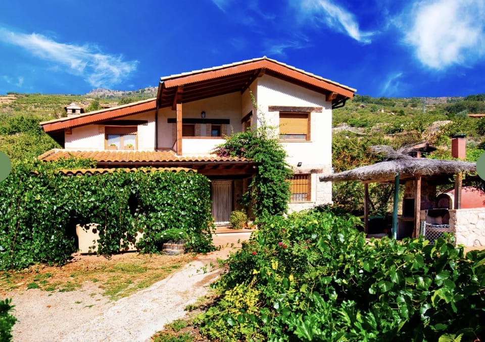 Day, Natural landscape, Garden view