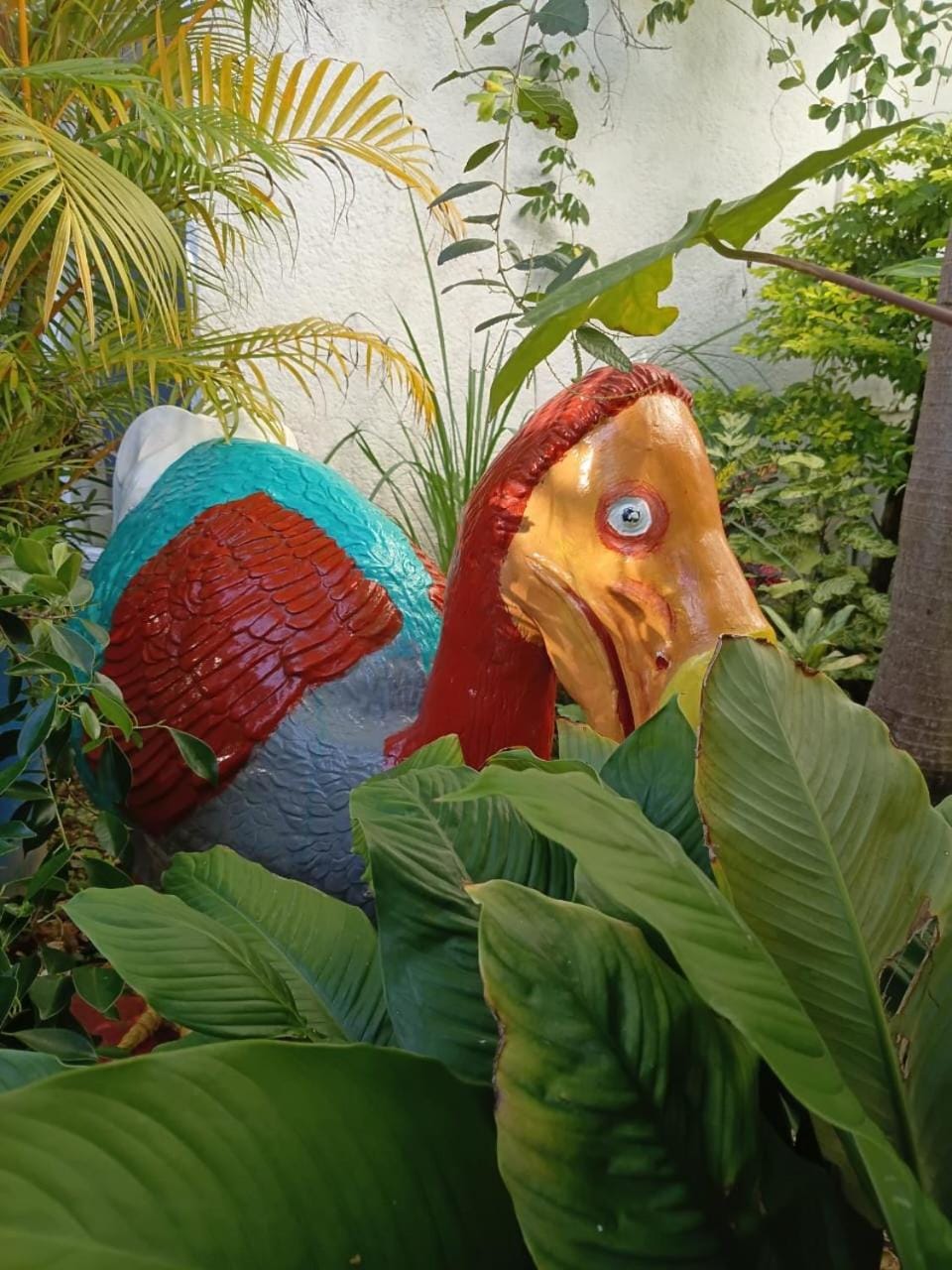Animals