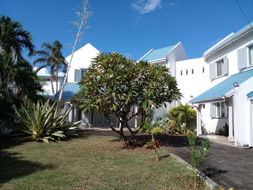 Property building, Garden, Garden