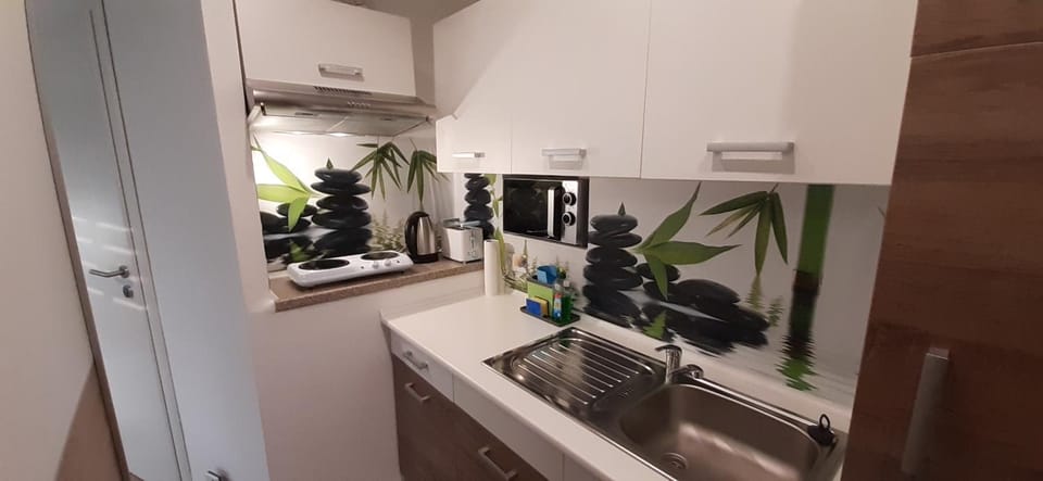 Kitchen or kitchenette, minibar, stove