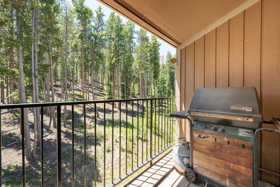 Natural landscape, BBQ facilities, Balcony/Terrace